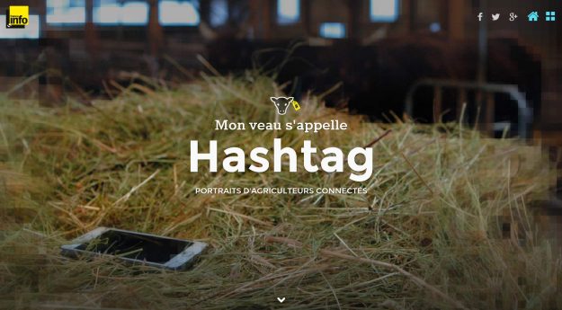 Mon veau s'appelle Hashtag - Crédits France Info - La Déviation