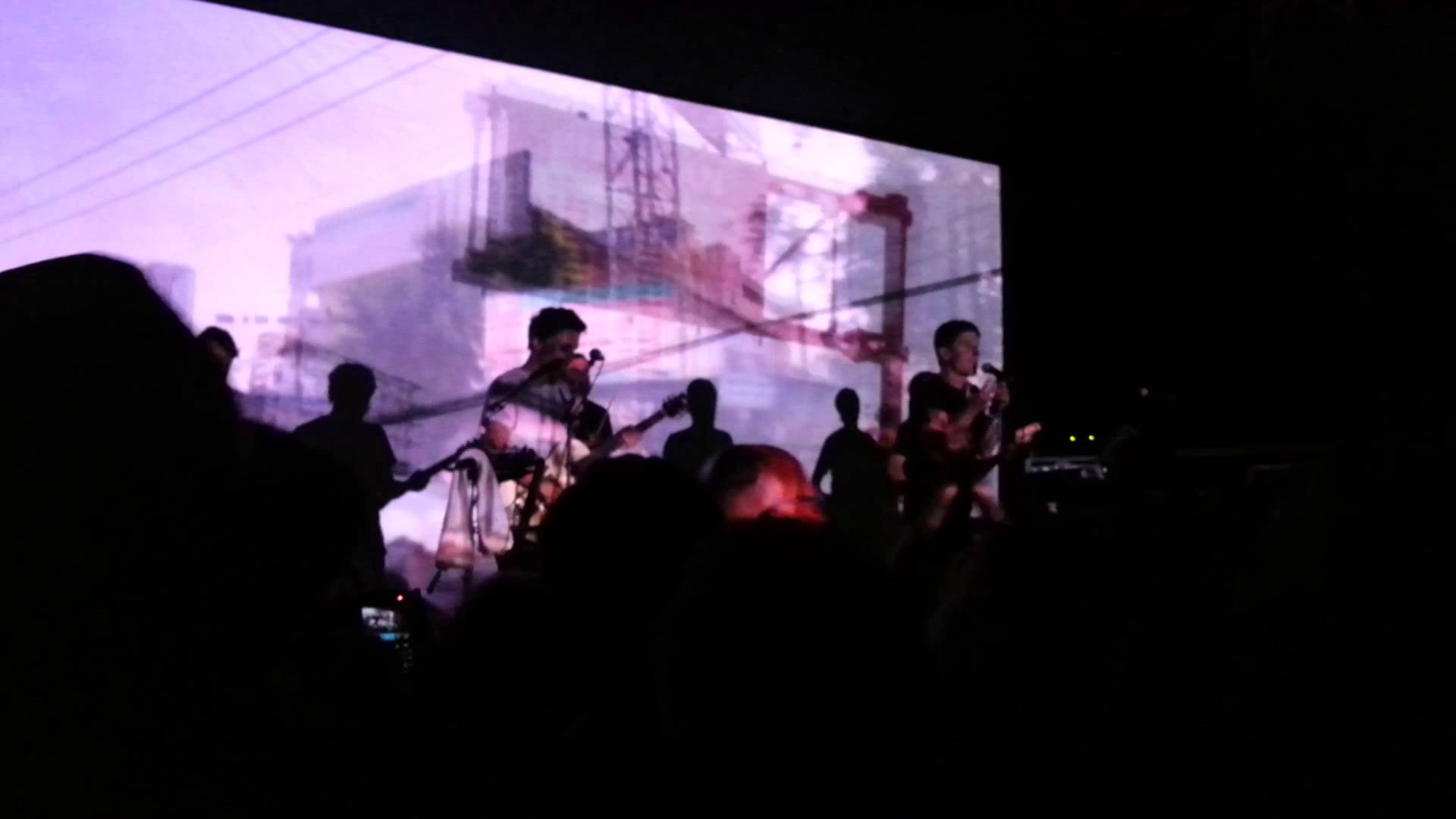 Fauve au festival du Chant Marin de Paimpol 2013 - La Déviation