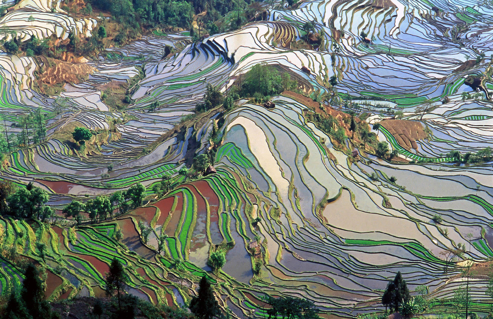 200502 - Rizières en terrasse dans le Yunnan une province du sud-ouest de la Chine by Jialiang Gao Wikipedia CC by-sa 3.0 - La Déviation