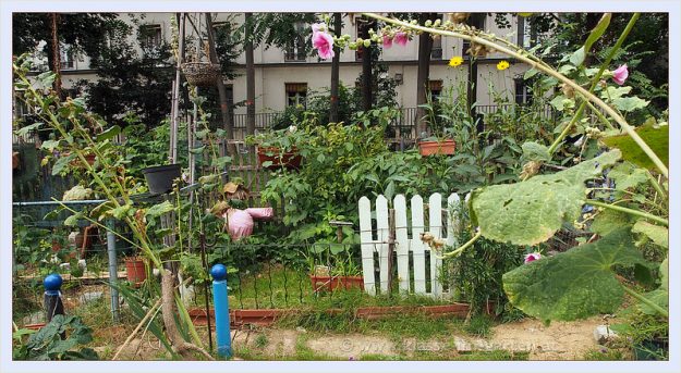 200528 - Jardin partagé by Brigitte Reiser - La Déviation